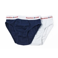 Navy and Blue Stripe Boys Briefs - 2 pack